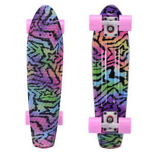 Adult children 22 inch four wheel plastic small fish board skateboard long board mini brush street long board easy to carry